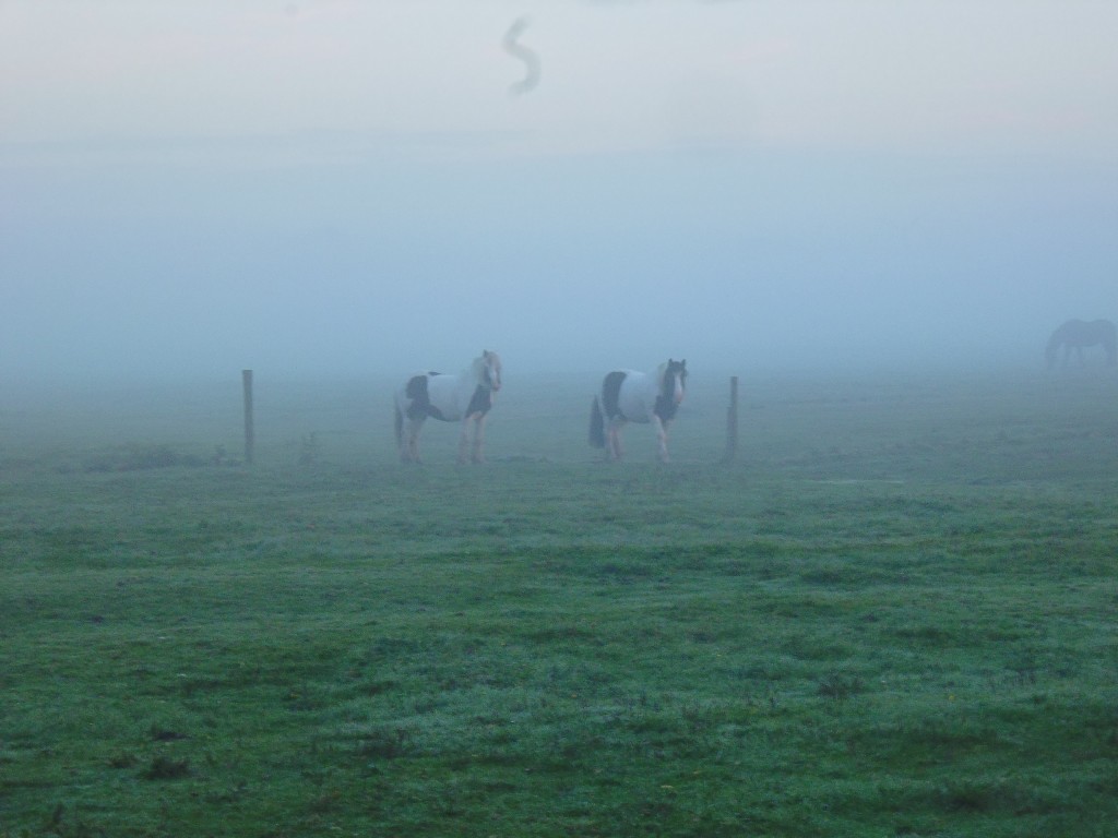 Frühmorgens im Nebel
